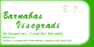 barnabas visegradi business card