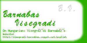 barnabas visegradi business card